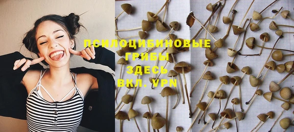 бошки Нягань