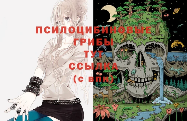 бошки Нягань