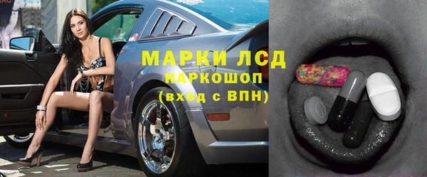 гидра Новозыбков